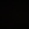 rose.ruless