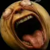 jensenshojaii