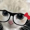 neko.niis