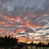 lauro.jose52