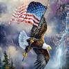 bald_eagle70