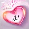 user8450367486784aries