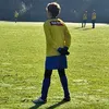 s.vhv17