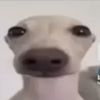 jaydentk30