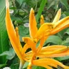 thanh.vu393