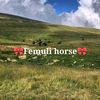 femuli_horse.hi0987654