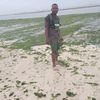 hassanshafii89