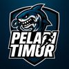 PELARI TIMUR