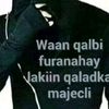canab119