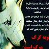 user5492084146546