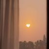 aya.amer5803