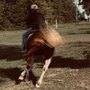 hannahandchief42723