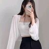 hala.assi53