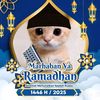 sendal151gmail