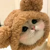 rayz_catroblox