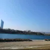 mohammad.alhabous
