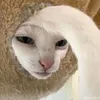 liws_ei