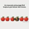 janvierplus47