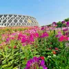 kim.huong684