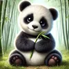 wilderness_wisdom0