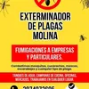 alejandromolina13