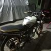 alvino.alvinoo123
