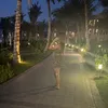 sadielily14