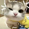 din_square_pants