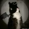 blpfun3