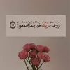 user4250086908163