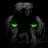 krbebou5gmailcom