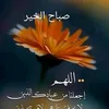 dhsjdebcumj