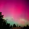 elva_527