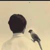tiktok_ibrahim1