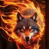 lobo.solitariolobo01