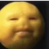 jj.271113