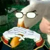 shinkaineves