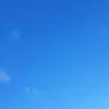 julia71007