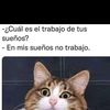 luis.perdro1341.ayala