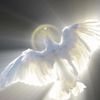 feathersofsorren333