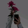 user5885974419668