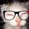 lilcc_8