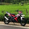 refky555