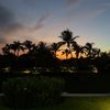hanii_20_25