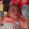 aril42162