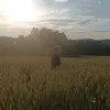 mefedron_sosiska