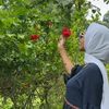 fariya.moni605