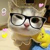 loli_pop442