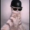 jaymartomnob