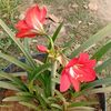 md.bk.alam8